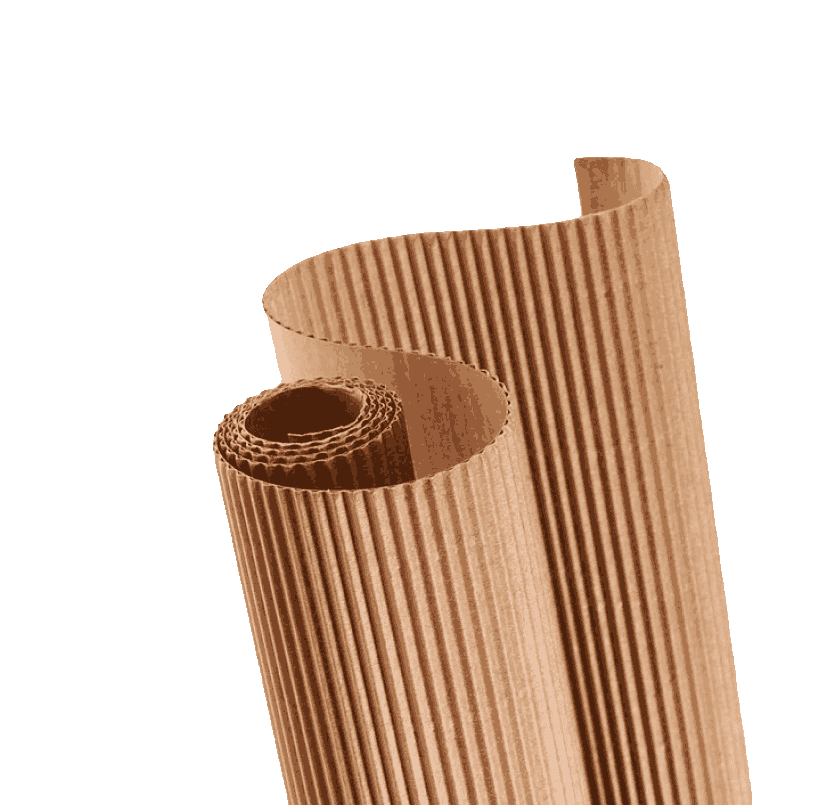 Chisinau Mill of Cardboard Products